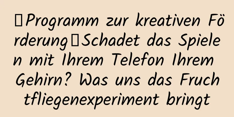 【Programm zur kreativen Förderung】Schadet das Spielen mit Ihrem Telefon Ihrem Gehirn? Was uns das Fruchtfliegenexperiment bringt