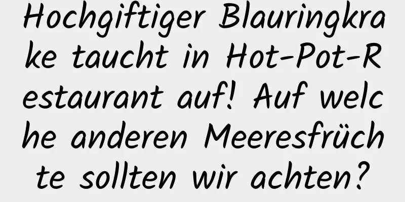 Hochgiftiger Blauringkrake taucht in Hot-Pot-Restaurant auf! Auf welche anderen Meeresfrüchte sollten wir achten?