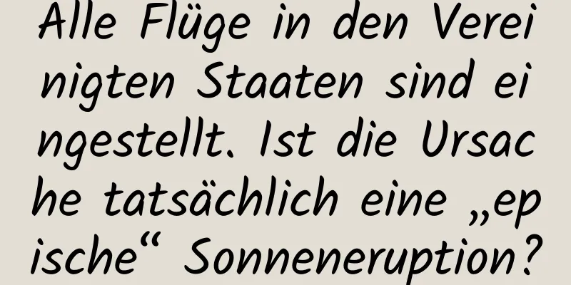 Alle Flüge in den Vereinigten Staaten sind eingestellt. Ist die Ursache tatsächlich eine „epische“ Sonneneruption?