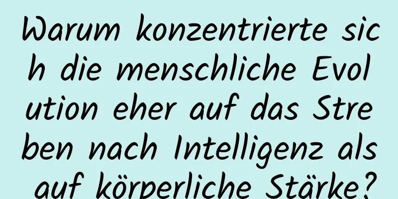 Warum konzentrierte sich die menschliche Evolution eher auf das Streben nach Intelligenz als auf körperliche Stärke?