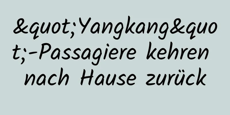 "Yangkang"-Passagiere kehren nach Hause zurück