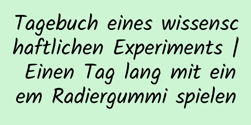 Tagebuch eines wissenschaftlichen Experiments | Einen Tag lang mit einem Radiergummi spielen