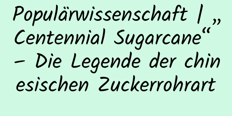 Populärwissenschaft | „Centennial Sugarcane“ – Die Legende der chinesischen Zuckerrohrart