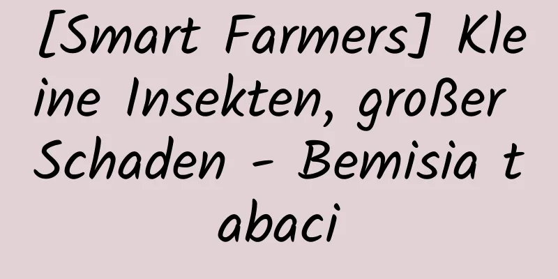 [Smart Farmers] Kleine Insekten, großer Schaden - Bemisia tabaci