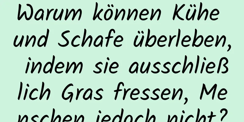 Warum können Kühe und Schafe überleben, indem sie ausschließlich Gras fressen, Menschen jedoch nicht?