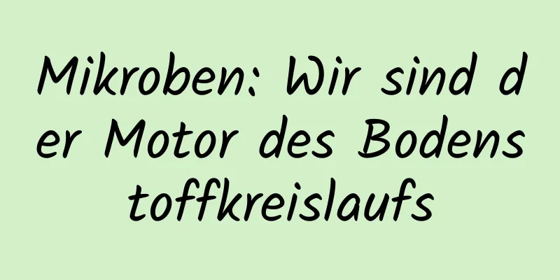 Mikroben: Wir sind der Motor des Bodenstoffkreislaufs