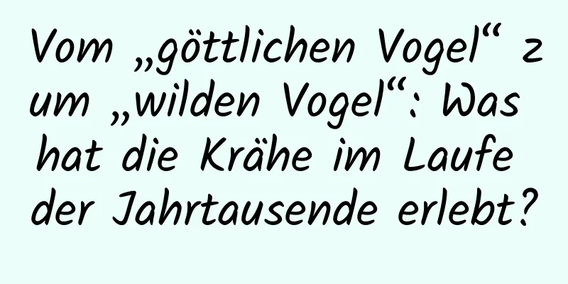 Vom „göttlichen Vogel“ zum „wilden Vogel“: Was hat die Krähe im Laufe der Jahrtausende erlebt?