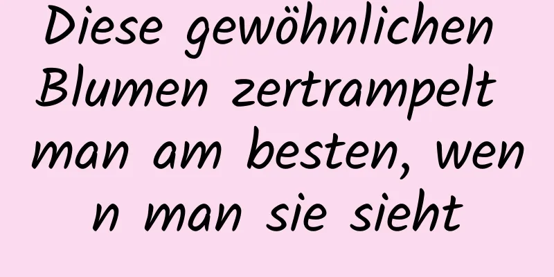 Diese gewöhnlichen Blumen zertrampelt man am besten, wenn man sie sieht