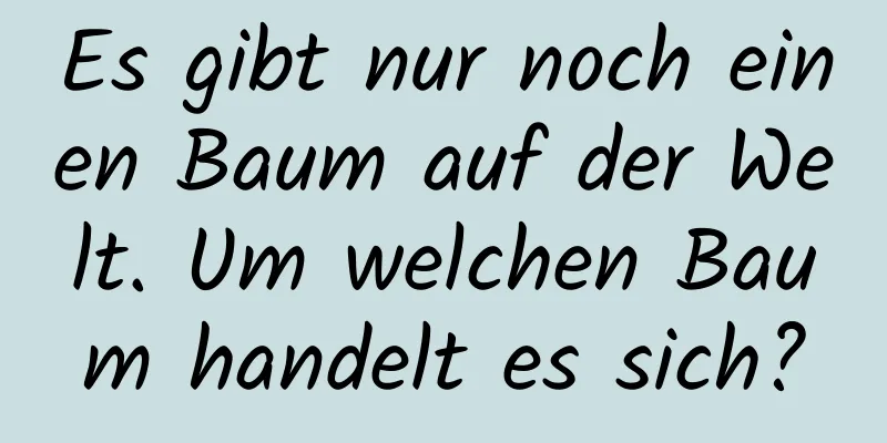 Es gibt nur noch einen Baum auf der Welt. Um welchen Baum handelt es sich?