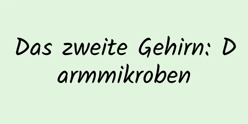 Das zweite Gehirn: Darmmikroben