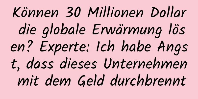 Können 30 Millionen Dollar die globale Erwärmung lösen? Experte: Ich habe Angst, dass dieses Unternehmen mit dem Geld durchbrennt
