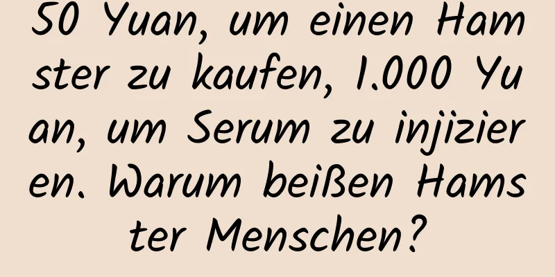 50 Yuan, um einen Hamster zu kaufen, 1.000 Yuan, um Serum zu injizieren. Warum beißen Hamster Menschen?