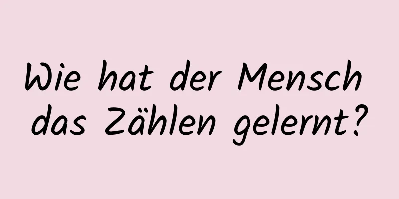 Wie hat der Mensch das Zählen gelernt?