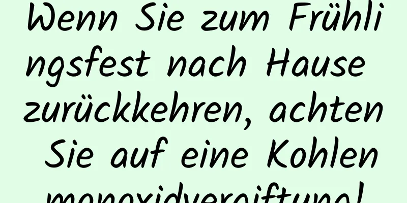 Wenn Sie zum Frühlingsfest nach Hause zurückkehren, achten Sie auf eine Kohlenmonoxidvergiftung!