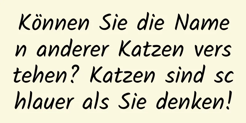 Können Sie die Namen anderer Katzen verstehen? Katzen sind schlauer als Sie denken!