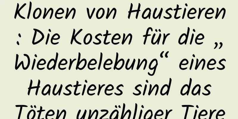 Klonen von Haustieren: Die Kosten für die „Wiederbelebung“ eines Haustieres sind das Töten unzähliger Tiere