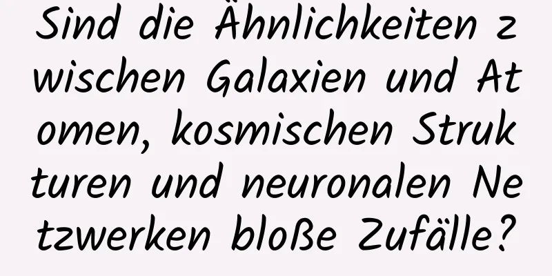 Sind die Ähnlichkeiten zwischen Galaxien und Atomen, kosmischen Strukturen und neuronalen Netzwerken bloße Zufälle?
