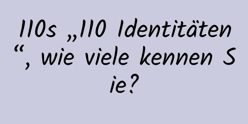 110s „110 Identitäten“, wie viele kennen Sie?
