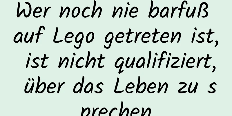 Wer noch nie barfuß auf Lego getreten ist, ist nicht qualifiziert, über das Leben zu sprechen