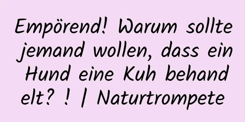 Empörend! Warum sollte jemand wollen, dass ein Hund eine Kuh behandelt? ! | Naturtrompete