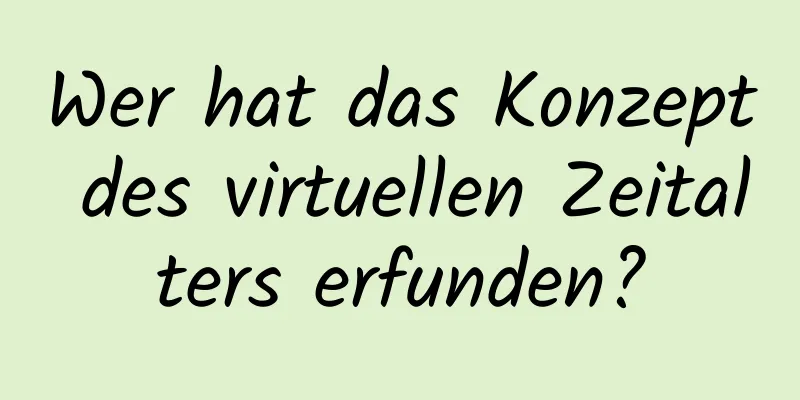 Wer hat das Konzept des virtuellen Zeitalters erfunden?