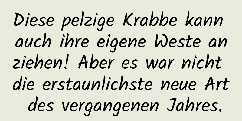 Diese pelzige Krabbe kann auch ihre eigene Weste anziehen! Aber es war nicht die erstaunlichste neue Art des vergangenen Jahres.