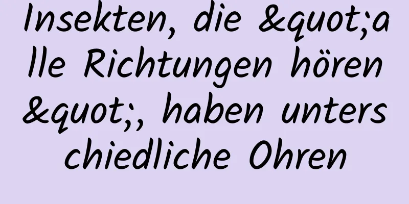 Insekten, die "alle Richtungen hören", haben unterschiedliche Ohren