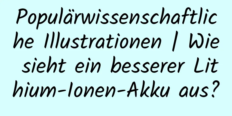 Populärwissenschaftliche Illustrationen | Wie sieht ein besserer Lithium-Ionen-Akku aus?