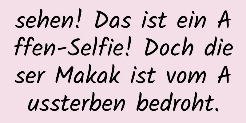 sehen! Das ist ein Affen-Selfie! Doch dieser Makak ist vom Aussterben bedroht.
