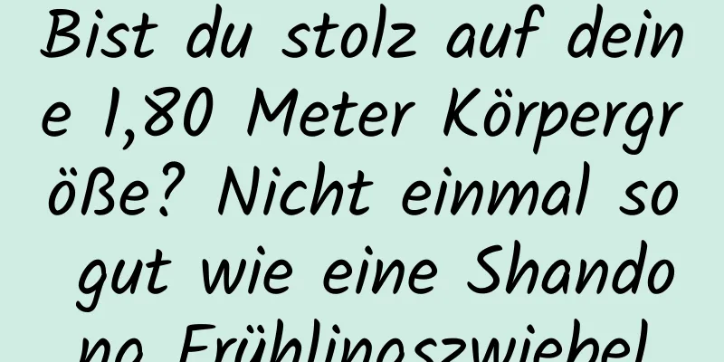 Bist du stolz auf deine 1,80 Meter Körpergröße? Nicht einmal so gut wie eine Shandong Frühlingszwiebel