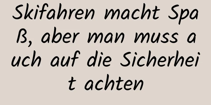 Skifahren macht Spaß, aber man muss auch auf die Sicherheit achten