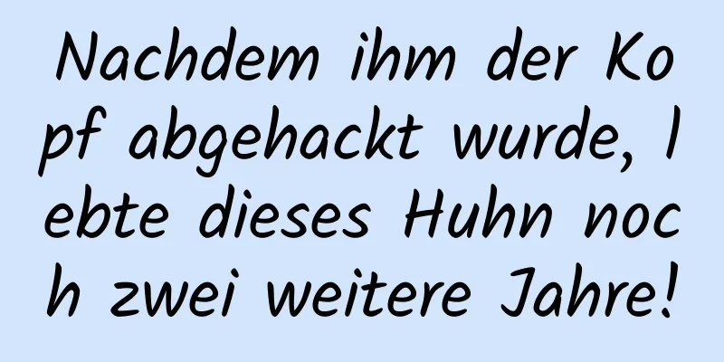 Nachdem ihm der Kopf abgehackt wurde, lebte dieses Huhn noch zwei weitere Jahre!