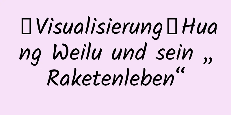 【Visualisierung】Huang Weilu und sein „Raketenleben“