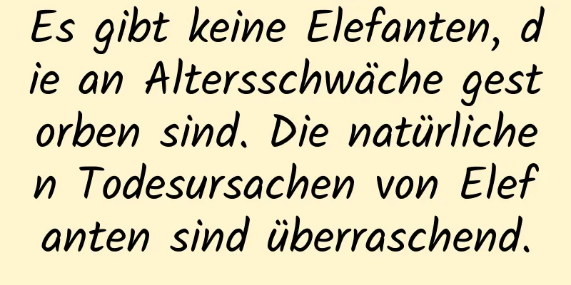 Es gibt keine Elefanten, die an Altersschwäche gestorben sind. Die natürlichen Todesursachen von Elefanten sind überraschend.