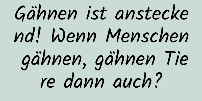Gähnen ist ansteckend! Wenn Menschen gähnen, gähnen Tiere dann auch?