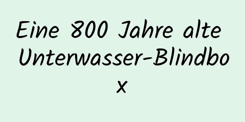 Eine 800 Jahre alte Unterwasser-Blindbox