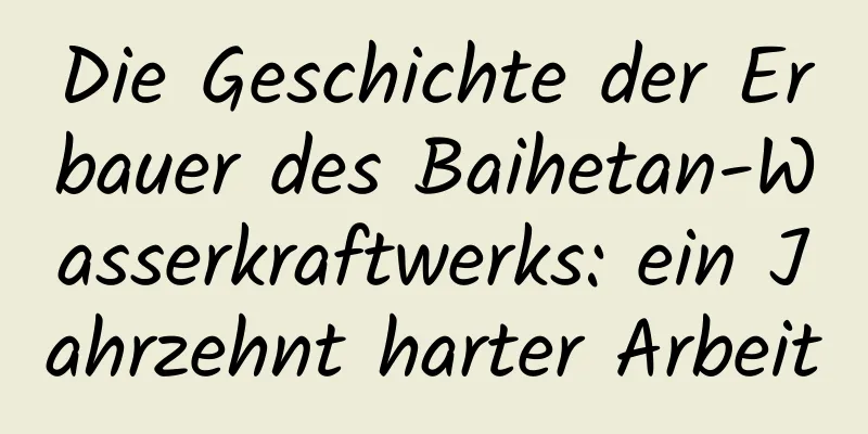 Die Geschichte der Erbauer des Baihetan-Wasserkraftwerks: ein Jahrzehnt harter Arbeit