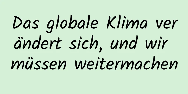 Das globale Klima verändert sich, und wir müssen weitermachen