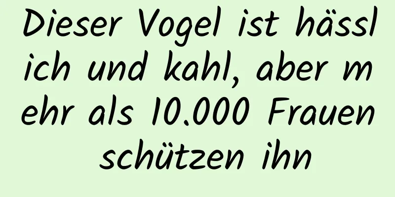 Dieser Vogel ist hässlich und kahl, aber mehr als 10.000 Frauen schützen ihn