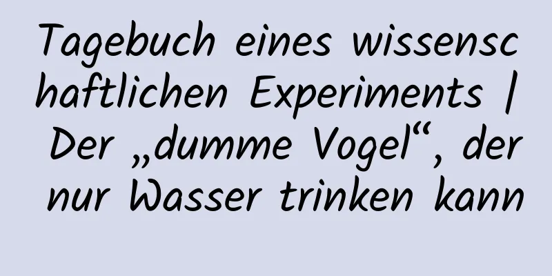 Tagebuch eines wissenschaftlichen Experiments | Der „dumme Vogel“, der nur Wasser trinken kann