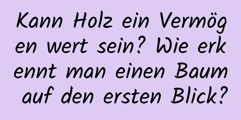 Kann Holz ein Vermögen wert sein? Wie erkennt man einen Baum auf den ersten Blick?