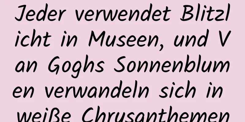 Jeder verwendet Blitzlicht in Museen, und Van Goghs Sonnenblumen verwandeln sich in weiße Chrysanthemen