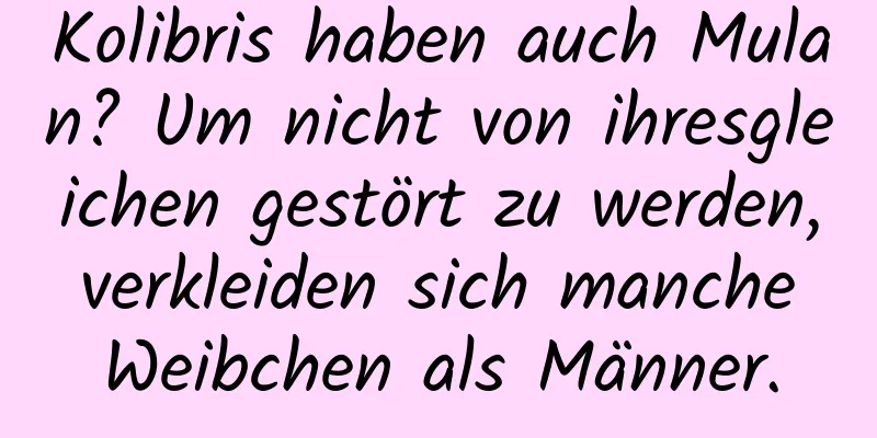 Kolibris haben auch Mulan? Um nicht von ihresgleichen gestört zu werden, verkleiden sich manche Weibchen als Männer.