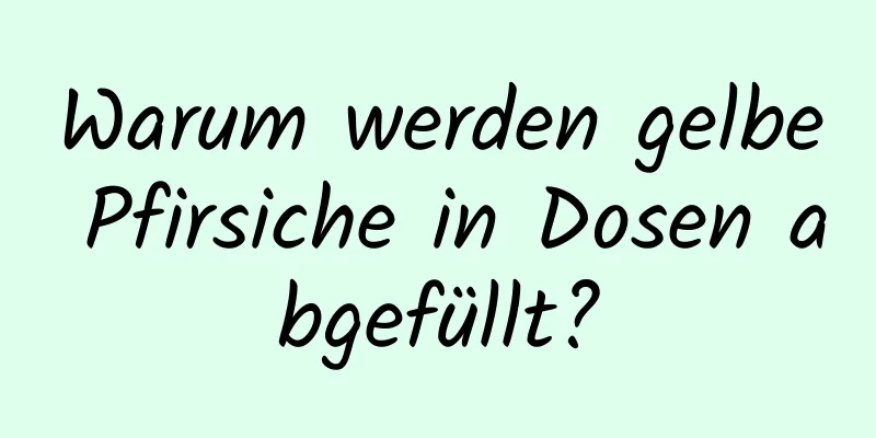 Warum werden gelbe Pfirsiche in Dosen abgefüllt?