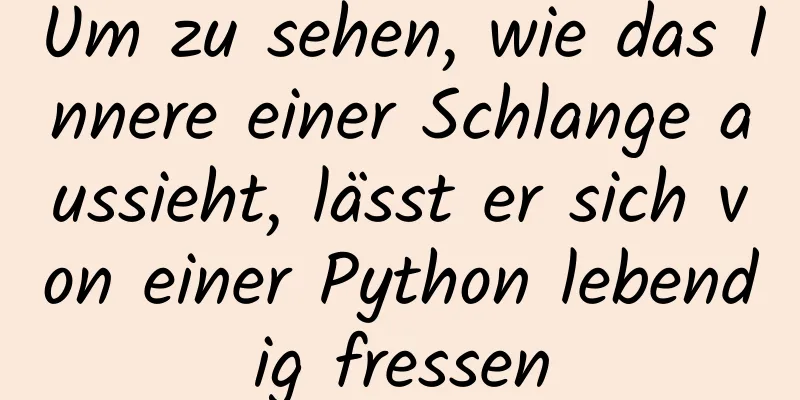 Um zu sehen, wie das Innere einer Schlange aussieht, lässt er sich von einer Python lebendig fressen