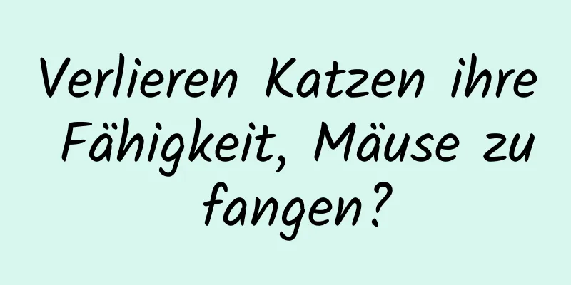 Verlieren Katzen ihre Fähigkeit, Mäuse zu fangen?