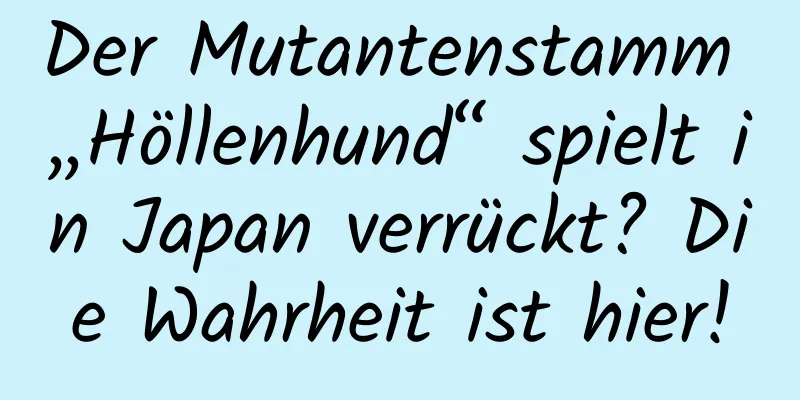 Der Mutantenstamm „Höllenhund“ spielt in Japan verrückt? Die Wahrheit ist hier!