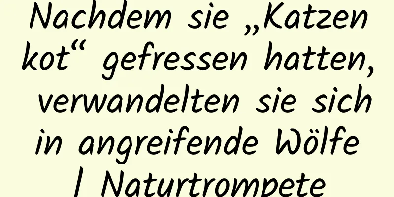 Nachdem sie „Katzenkot“ gefressen hatten, verwandelten sie sich in angreifende Wölfe | Naturtrompete