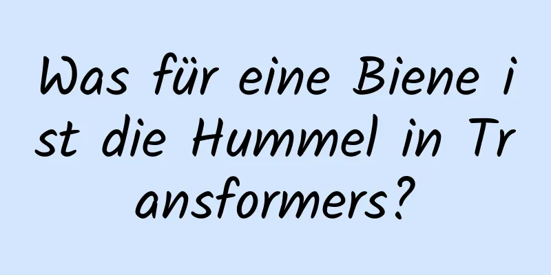 Was für eine Biene ist die Hummel in Transformers?