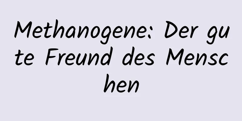 Methanogene: Der gute Freund des Menschen